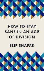 How to Stay Sane in an Age of Division kaina ir informacija | Apsakymai, novelės | pigu.lt