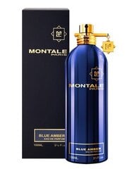 Парфюмированная вода Montale Paris Blue Amber EDP для женщин/мужчин 100 мл цена и информация | Женские духи | pigu.lt