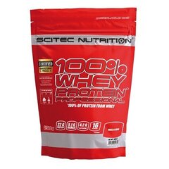 Baltymų milteliai Scitec Nutrition Whey Protein Prof Banana, 500 g цена и информация | Протеин | pigu.lt