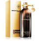 Kvapusis vanduo Montale Paris Wild Aoud EDP vyrams/moterims 100 ml kaina ir informacija | Kvepalai moterims | pigu.lt