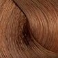 Plaukų dažai be amoniako L'oreal DiaLight 7.31, 50 ml kaina ir informacija | Plaukų dažai | pigu.lt