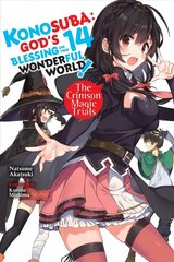 Konosuba: God's Blessing on This Wonderful World!, Vol. 14 light novel цена и информация | Фантастика, фэнтези | pigu.lt