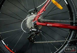 Горный велосипед Aist Rocky 2.0 Red 29cll цена и информация | Велосипеды | pigu.lt