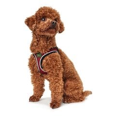 Šuns paetnešos Hunter hilo-comfort raudona m dydis 55-60 cm kaina ir informacija | Antkakliai, petnešos šunims | pigu.lt
