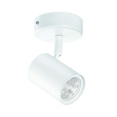 Потолочный светильник Philips Wiz 14 W ø 24,2 x 2,3 cm 1300 lm цена и информация | Потолочные светильники | pigu.lt