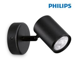 Lubinis šviestuvas Philips kaina ir informacija | Lubiniai šviestuvai | pigu.lt