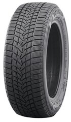 Nankang Ice Activa 2 175/65R14 86 T цена и информация | Зимние шины | pigu.lt