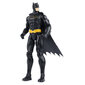 Figūrėlė Betmenas (Batman) DC, 30 cm kaina ir informacija | Žaislai berniukams | pigu.lt