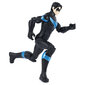 Figūrėlė Nightwing Betmenas (Batman) DC, 30 cm kaina ir informacija | Žaislai berniukams | pigu.lt