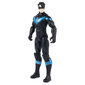 Figūrėlė Nightwing Betmenas (Batman) DC, 30 cm kaina ir informacija | Žaislai berniukams | pigu.lt