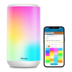 Govee H6052 Aura | Светодиодная настольная лампа | RGBIC, 2200k-6500k, Wi-Fi, Bluetooth цена и информация | Светодиодные ленты | pigu.lt