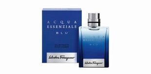 Туалетная вода Salvatore Ferragamo Acqua Essenziale Blu EDT для мужчин, 100 мл цена и информация | Мужские духи | pigu.lt