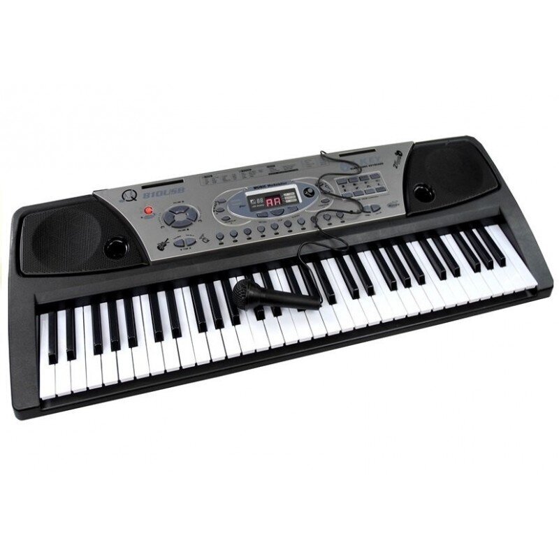 Pianinas su mikrofonu MQ-810 MP3 цена и информация | Lavinamieji žaislai | pigu.lt