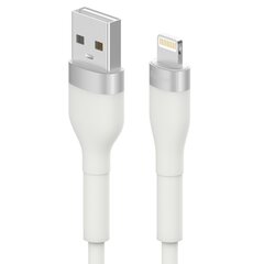 Ringke CB09994RS, USB - Lightning 480Mb / s 12W 2m white kaina ir informacija | Laidai telefonams | pigu.lt