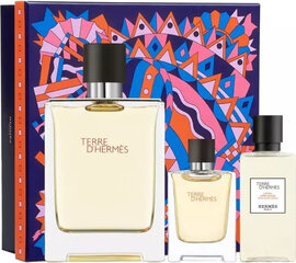 Rinkinys Hermès Terre D´ Hermes vyrams: tualetinis vanduo EDT, 100 ml + balzamas po skutimosi, 40 ml цена и информация | Мужские духи | pigu.lt