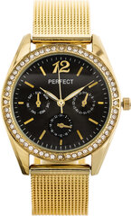 Perfect WOMEN'S WATCH F358 (zp991c) F358-5 kaina ir informacija | Moteriški laikrodžiai | pigu.lt