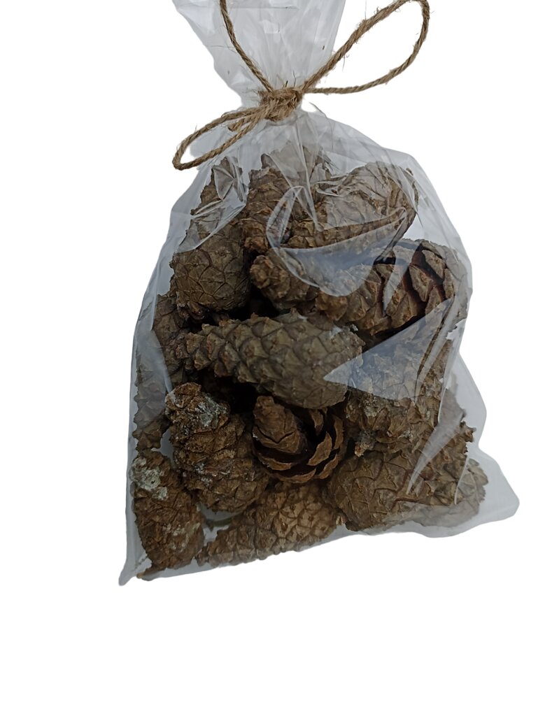 Natūralūs kankorėžiai maišelyje, 20 vnt kaina ir informacija | Floristikos reikmenys | pigu.lt