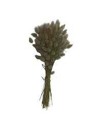 Сухие травы, Зайцехвост, 100 шт. цена и информация | Принадлежности для флористики | pigu.lt