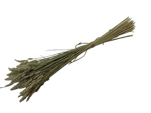 Сухие травы, Ежа сборная, 100 шт. цена и информация | Принадлежности для флористики | pigu.lt