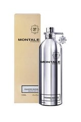 MONTALE Fougeres Marine EDP unisex 100 мл. цена и информация | Женские духи | pigu.lt