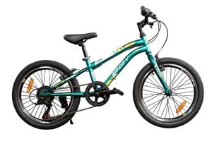Детский велосипед, Roy Blade 20cll цена и информация | Велосипеды | pigu.lt