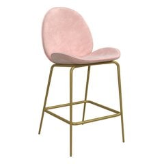 Baro kedė CosmoLiving by Cosmopolitan Astor, rožinė kaina ir informacija | Virtuvės ir valgomojo kėdės | pigu.lt