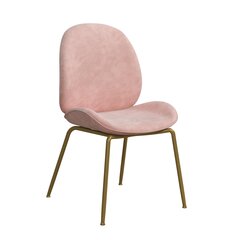 Valgomojo kėdė CosmoLiving by Cosmopolitan Astor, rožinė kaina ir informacija | Virtuvės ir valgomojo kėdės | pigu.lt