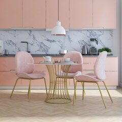 Valgomojo kėdė CosmoLiving by Cosmopolitan Astor, rožinė kaina ir informacija | Virtuvės ir valgomojo kėdės | pigu.lt