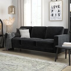 Sofa Brynn, juoda kaina ir informacija | Sofos | pigu.lt