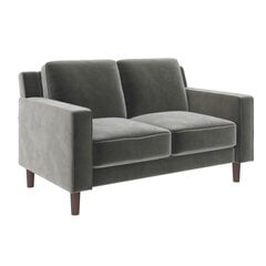 Sofa Brynn Loveseat, pilka kaina ir informacija | Sofos | pigu.lt