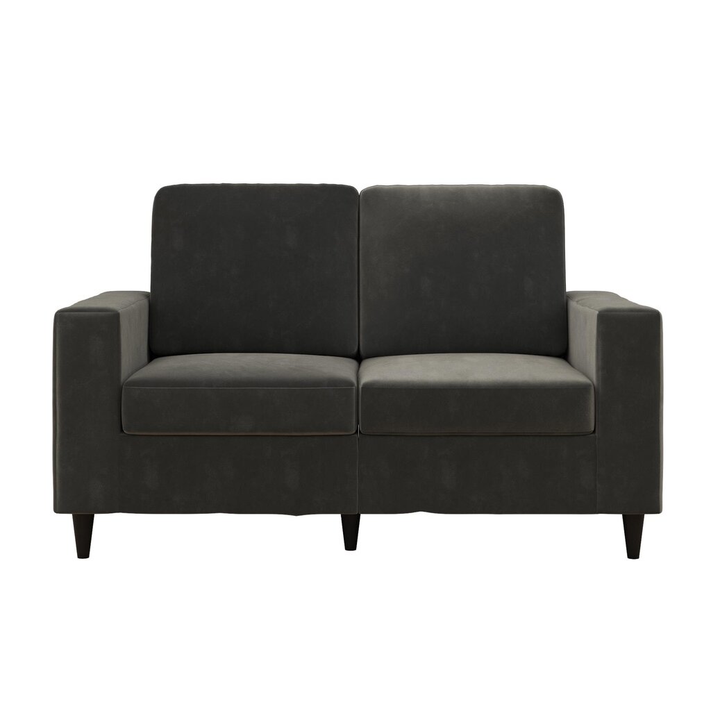 Sofa Cooper Loveseat, pilka kaina ir informacija | Sofos | pigu.lt