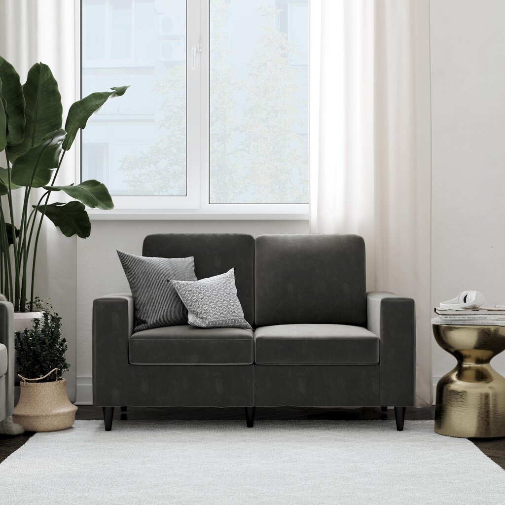 Sofa Cooper Loveseat, pilka kaina ir informacija | Sofos | pigu.lt