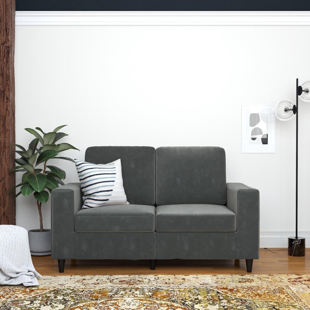 Sofa Cooper Loveseat, pilka kaina ir informacija | Sofos | pigu.lt