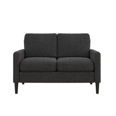 Sofa Kaci Loveseat, pilka kaina ir informacija | Sofos | pigu.lt