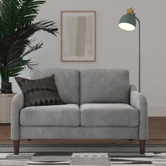 Sofa Marbella Loveseat, pilka kaina ir informacija | Sofos | pigu.lt