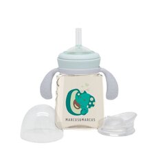 Бутылочка PPSU для малышей развивающая навыки питья - Mint цена и информация | Бутылочки и аксессуары | pigu.lt