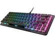 Roccat Vulcan II Mini US kaina ir informacija | Klaviatūros | pigu.lt