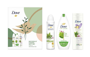 Rinkinys Dove Awakening: dušo želė, 250 ml + kūno losjonas, 225 ml + purškiamas dezodorantas, 150 ml kaina ir informacija | Dušo želė, aliejai | pigu.lt