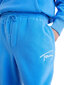 Tommy Hilfiger vyriškos sportinės kelnės 50713, mėlynos цена и информация | Sportinė apranga vyrams | pigu.lt