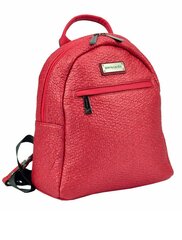 Женский рюкзак Aurora-2 цена и информация | Женские сумки | pigu.lt