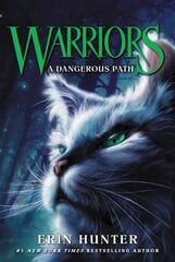 Warriors #5: A Dangerous Path цена и информация | Книги для подростков  | pigu.lt