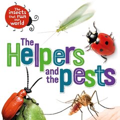 Insects that Run Our World: The Helpers and the Pests цена и информация | Книги для подростков и молодежи | pigu.lt