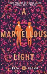 Marvellous Light цена и информация | Fantastinės, mistinės knygos | pigu.lt