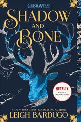 Shadow and Bone цена и информация | Книги для подростков  | pigu.lt