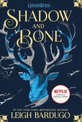 Shadow and Bone цена и информация | Книги для подростков и молодежи | pigu.lt