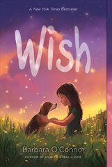 Wish цена и информация | Книги для подростков  | pigu.lt