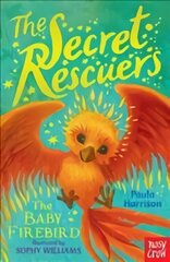 Secret Rescuers: The Baby Firebird kaina ir informacija | Knygos vaikams | pigu.lt