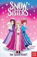 Snow Sisters: The Silver Secret цена и информация | Книги для детей | pigu.lt