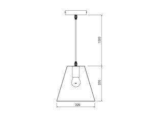 Pakabinamas šviestuvas OXALIS, 22cm×20cm, black 3161 kaina ir informacija | Pakabinami šviestuvai | pigu.lt