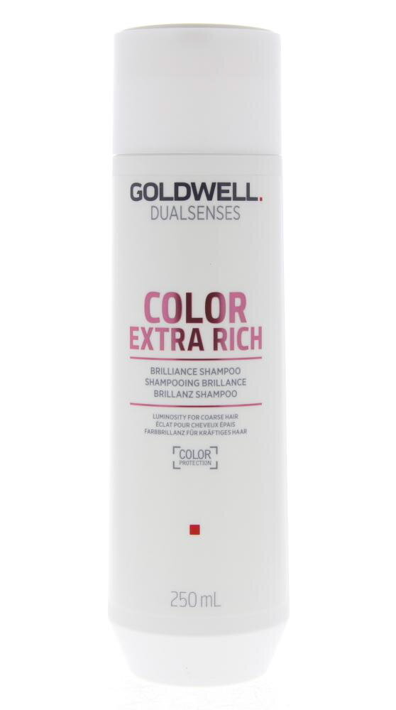 Šampūnas dažytiems plaukams Goldwell Dualsenses Color Extra Rich, 250 ml цена и информация | Šampūnai | pigu.lt